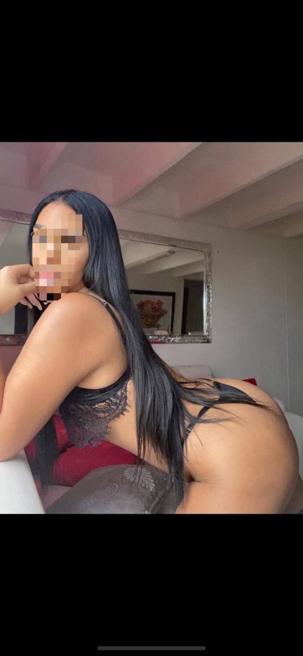 Novedad