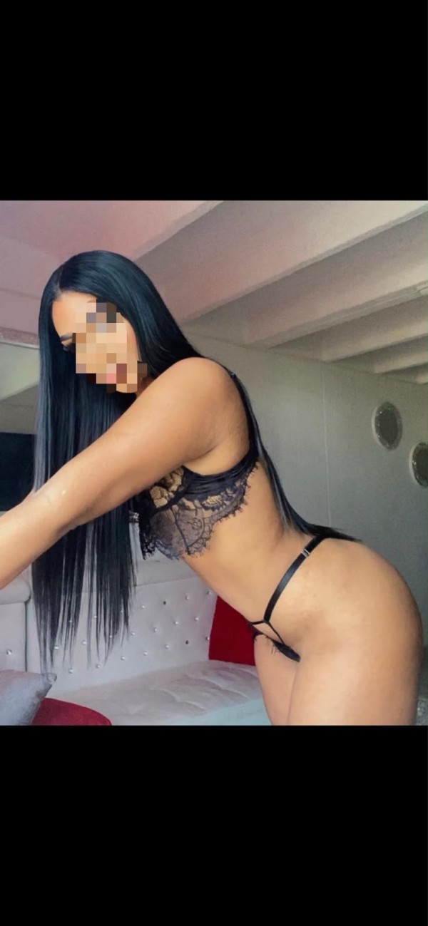 Novedad