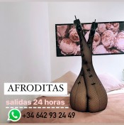 PLAZA EN CENTRO DE BARCELONA (HORARIOS O 24H)