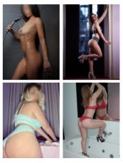 *PERRITAS FOLLADORAS Y CHUPONAS*