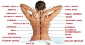 MASSJES PROFESIONALES PARA MUJERES DE TODAS LAS ED
