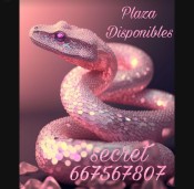 PLAZA DISPONIBLES SEVILLA