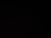 MASCULINO Y DOTADO PARA QUE DISFRUTEMOS A TOPE