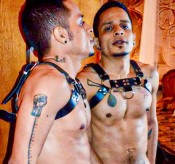 COLOMBIANO FIESTERO CERDEO EXTREMO.ACTIVO 100%