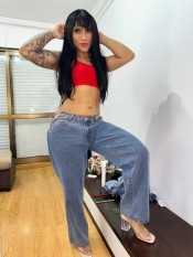NOVEDAD