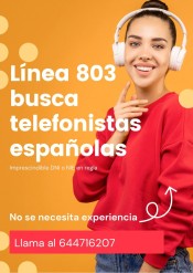 TELETRABAJO EN LíNEA 803