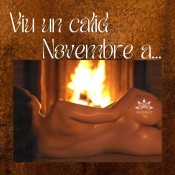 VIU UN CàLID NOVEMBRE A MOMO