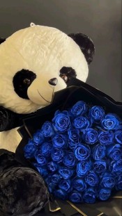 SE BUSCA CHICA PARA SALIDAS Y DESPLAZAMIENTO EN VA