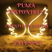 PLAZA LIBRE ALTOS INGRESOS