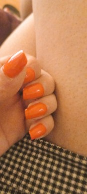 GATITA RECIéN LLEGADA A TU CIUDAD MIS AMORES