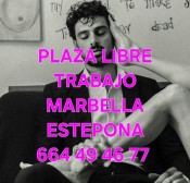 PLAZA LIBRE LA MEJOR CASA PARA TRABAJAR
