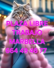 PLAZA LIBRE LA MEJOR CASA PARA TRABAJAR