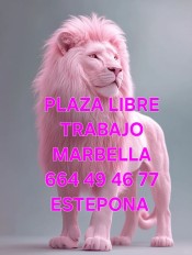 PLAZA LIBRE LA MEJOR CASA PARA TRABAJAR