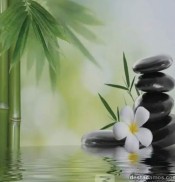 SE PRECISAN CHICAS MUCHO TRABAJO