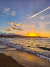 CASTING PARA ESCORTS DE LUJO