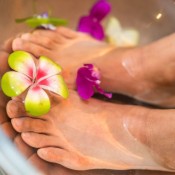 PLAZA DISPONIBLE  AMPOSTA