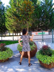 TRAVESTI TRANS ESPAÑOLA PARTICULAR EN REINOSA