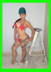 PALOMITA PAISA(MIÉRCOLES 17 ÚLTIMO DIA EN ESPAÑA,)