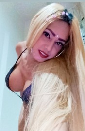 TRANS EXCLUSIVA VIP DOMINANTE POLLONA FIESTERA