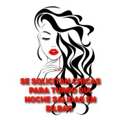 SE SOLICITAN CHICAN QUE QUIERAN GENERAR INGRESOS