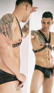 CUBANO ACTIVO MUY DOTADO