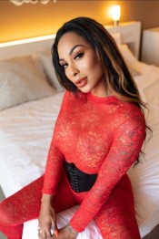 MISS LADY RECIEN LLEGADA A PALMA , VICIO TOTAL!!