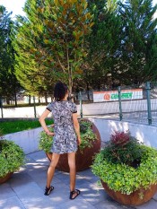 TRAVESTI TRANS ESPAÑOLA PARTICULAR DELGADA SOLA