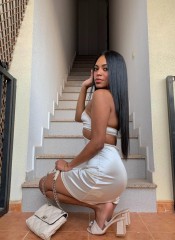 MIMOSA ATREVIDA FIESTERA