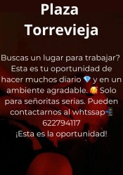 PLAZA TORREVIEJA ALICANTE