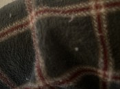 DEBORA TRANS LATINA DE PASO POR TU CIUDAD