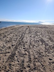 MASAJE NURU MASAJISTA VALENCIANA