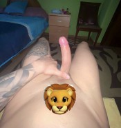 FIESTERO COMPLACIENTE  PLAYA INGLES