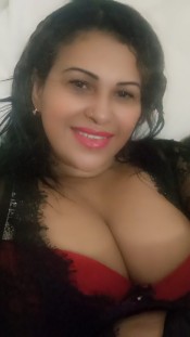 FIESTERA, NOVEDAD DISPUESTA A SORPRENDERTE 24/7