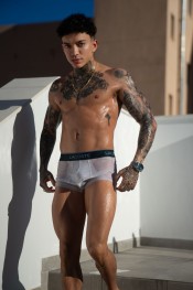 MACHO, ELEGANTE Y DISCRETO. 22CM DE PLACER