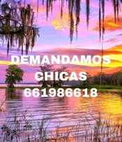 PLAZA LIBRE PARA CHICAS AMBICIOSAS EN VALENCIA!