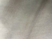 DIOSA DEL SEXO 20CMT X 6PULGADAS  LATINA TALADRA CULOS XL