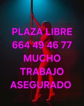 PLAZA LIBRE CON MUCHO TRABAJO DE LUJO