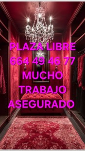 PLAZA LIBRE CON MUCHO TRABAJO DE LUJO