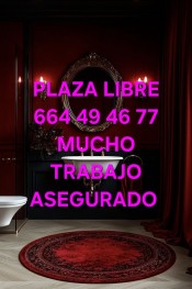 PLAZA LIBRE CON MUCHO TRABAJO DE LUJO