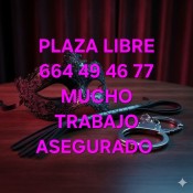 PLAZA LIBRE CON MUCHO TRABAJO DE LUJO