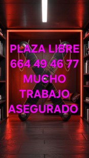 PLAZA LIBRE CON MUCHO TRABAJO DE LUJO