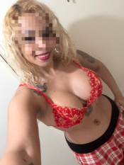 NOVEDAD SANDRA SÚPER CURVI FIESTERA