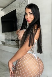 TRANS MULATA REAL ACTIVA Y PASIVA FIESTERA