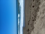 MASAJISTA SOLO PARA MUJERES, ABSTENERSE HOMBRES!!