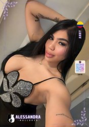 SENSUAL ESCORT. 25-Y/O _YOUNG, PRETTY GIRL. NEW IN MALLORCA