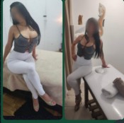 VENESOLANO MACHO ACTIVO LECHERO
