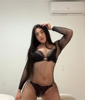 TRANS FIESTERA