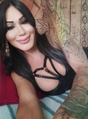 TRANS ELEGANCIA, DOMINIO Y EXPERIENCIAS EXCLUSIVAS