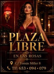 PLAZA LIBRE EN LAS PALMAS  PLAYA LAS CANTERAS.