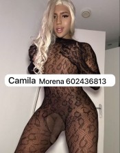 TRANS NEGRA POLLONA FIESTA POPPER/ LECHE ACTIVA VERSATIL